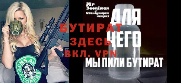 индика Новодвинск