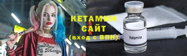 индика Новодвинск