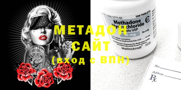 индика Новодвинск