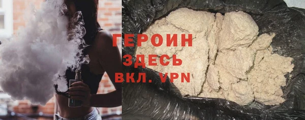 индика Новодвинск